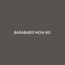 barabaris-logo