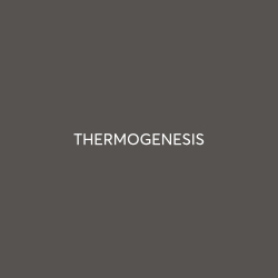 thermogenesis-logo